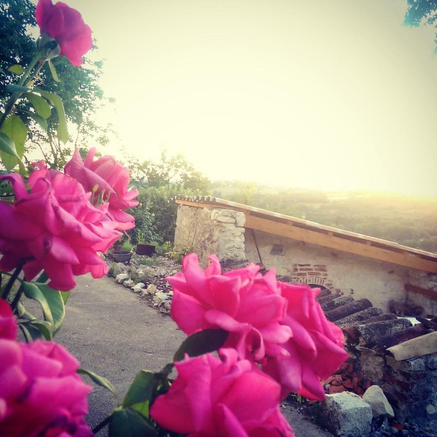 Le Mas Des Papillons Fargues  المظهر الخارجي الصورة