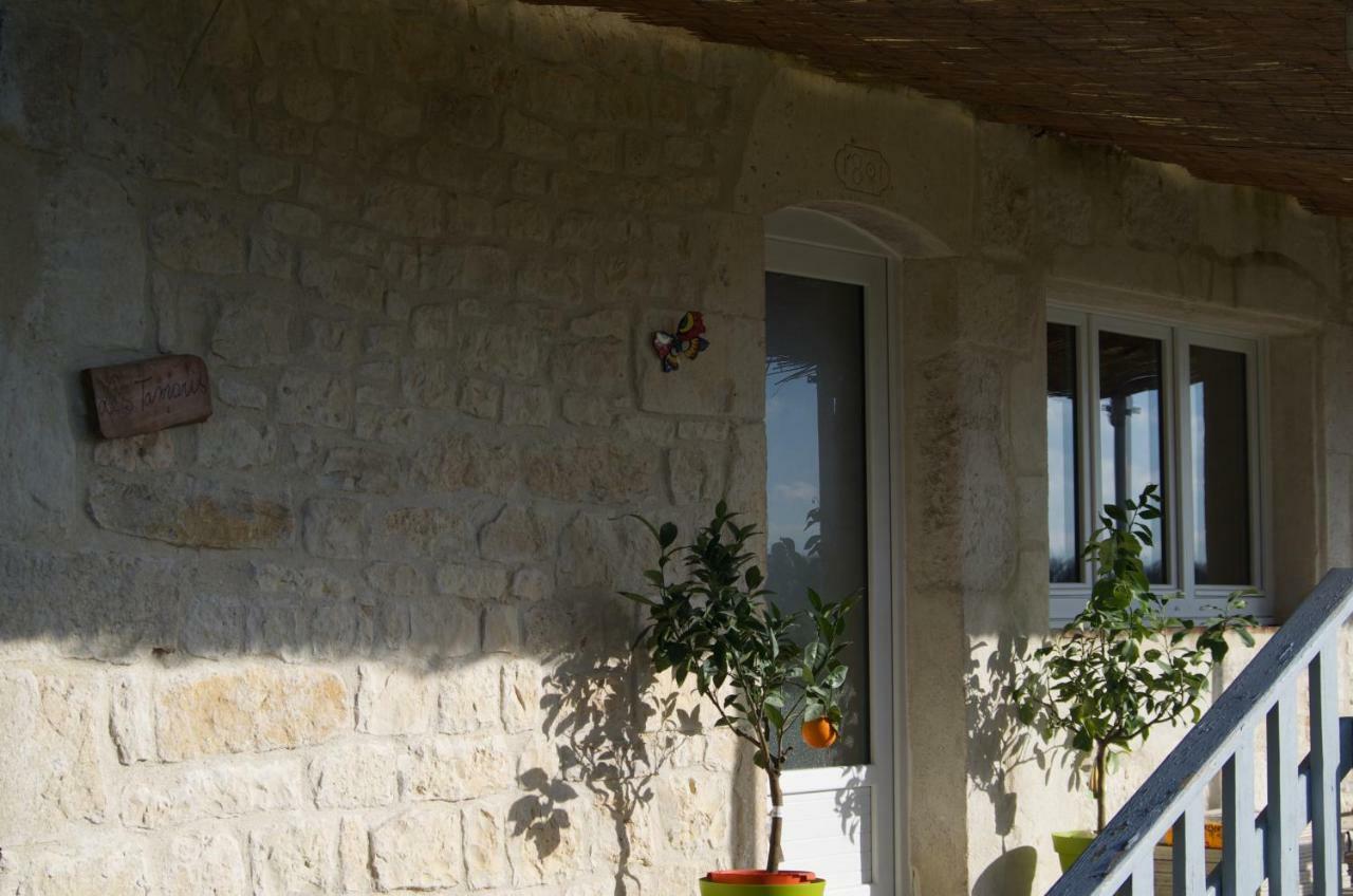 Le Mas Des Papillons Fargues  المظهر الخارجي الصورة
